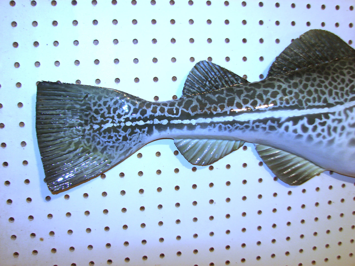 33" Atlantic Cod Fish Wall Mount | Handmade Wildlife Art