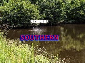 Freshwater Southern