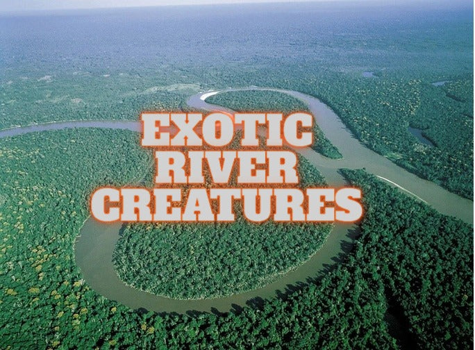 EXOTIC RIVER CREATURES