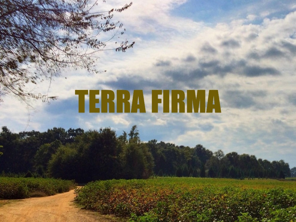 TERRA FIRMA
