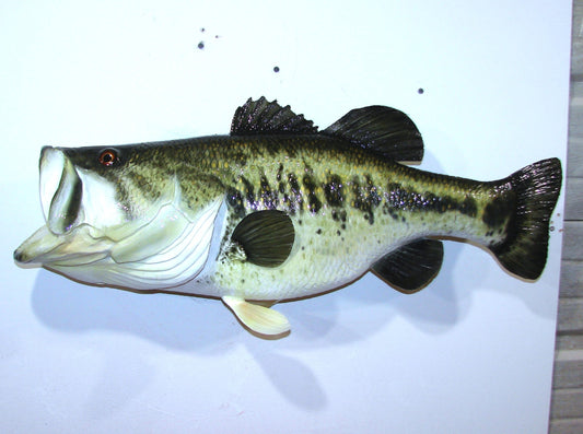 28" Largemouth Bass FREE SHIPPING