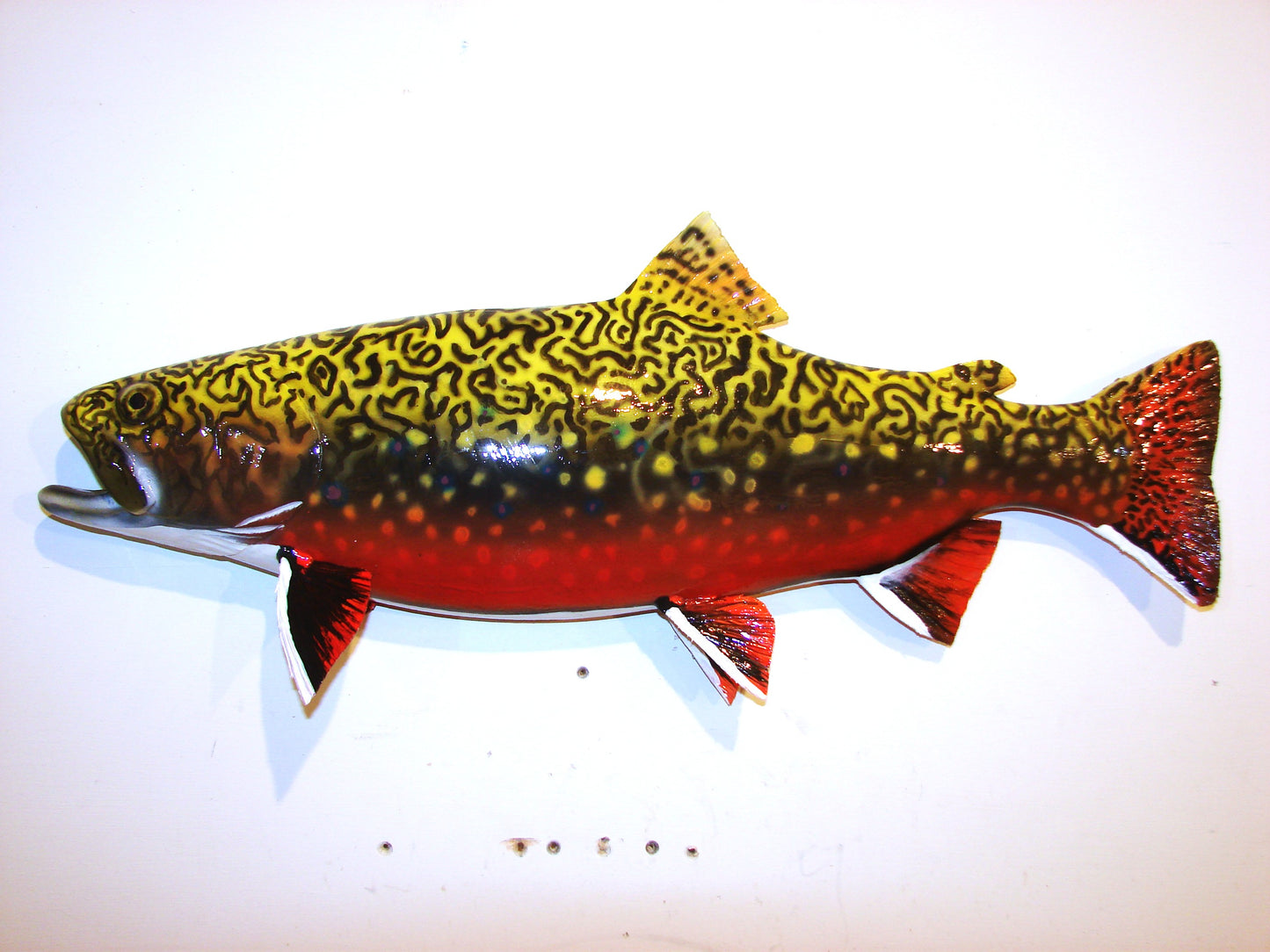 24" Brook Trout FREE SHIPPING