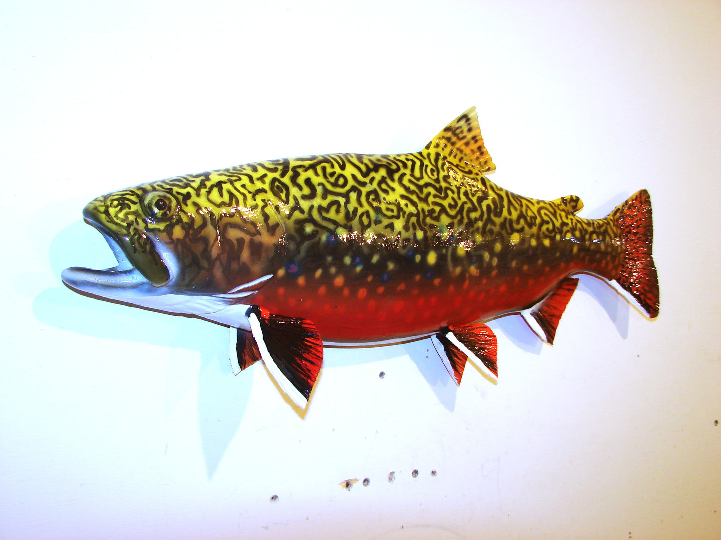 24" Brook Trout FREE SHIPPING