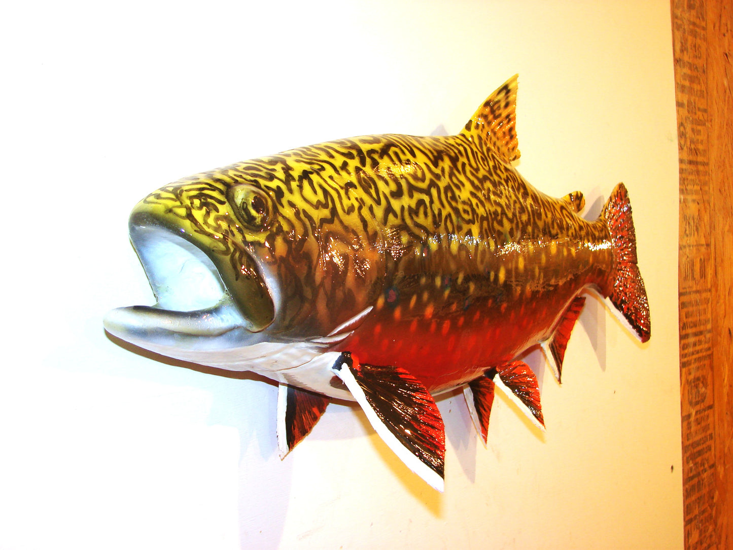 24" Brook Trout FREE SHIPPING