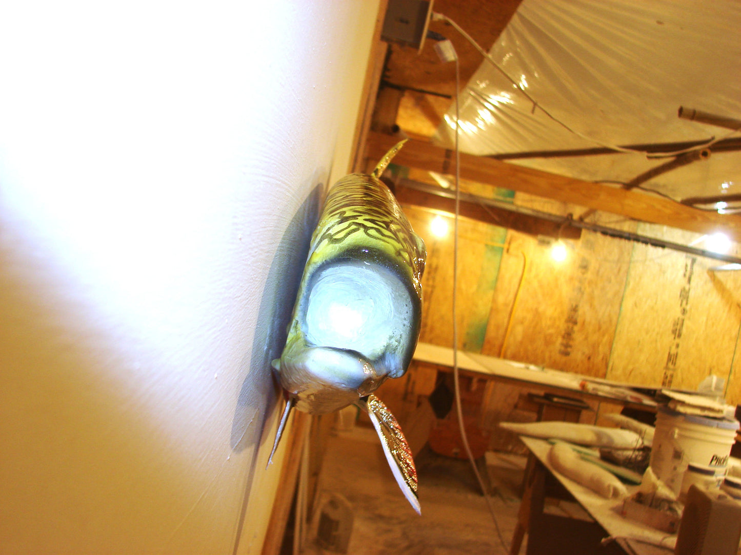 24" Brook Trout FREE SHIPPING