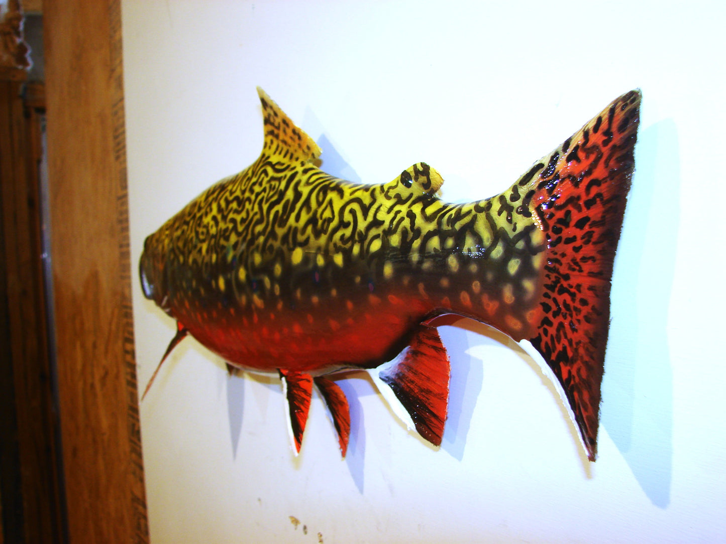 24" Brook Trout FREE SHIPPING