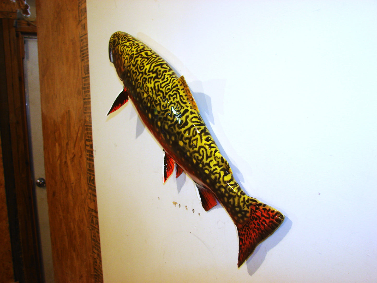 24" Brook Trout FREE SHIPPING