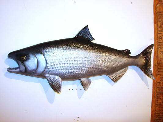 36" Silver King Salmon FREE SHIPPING