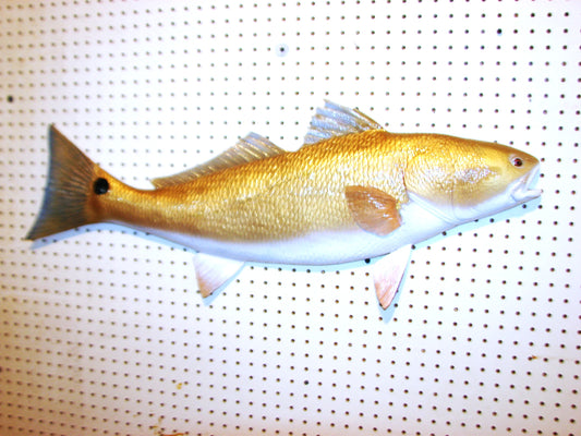 37" Redfish 1/2 mount FREE SHIPPING
