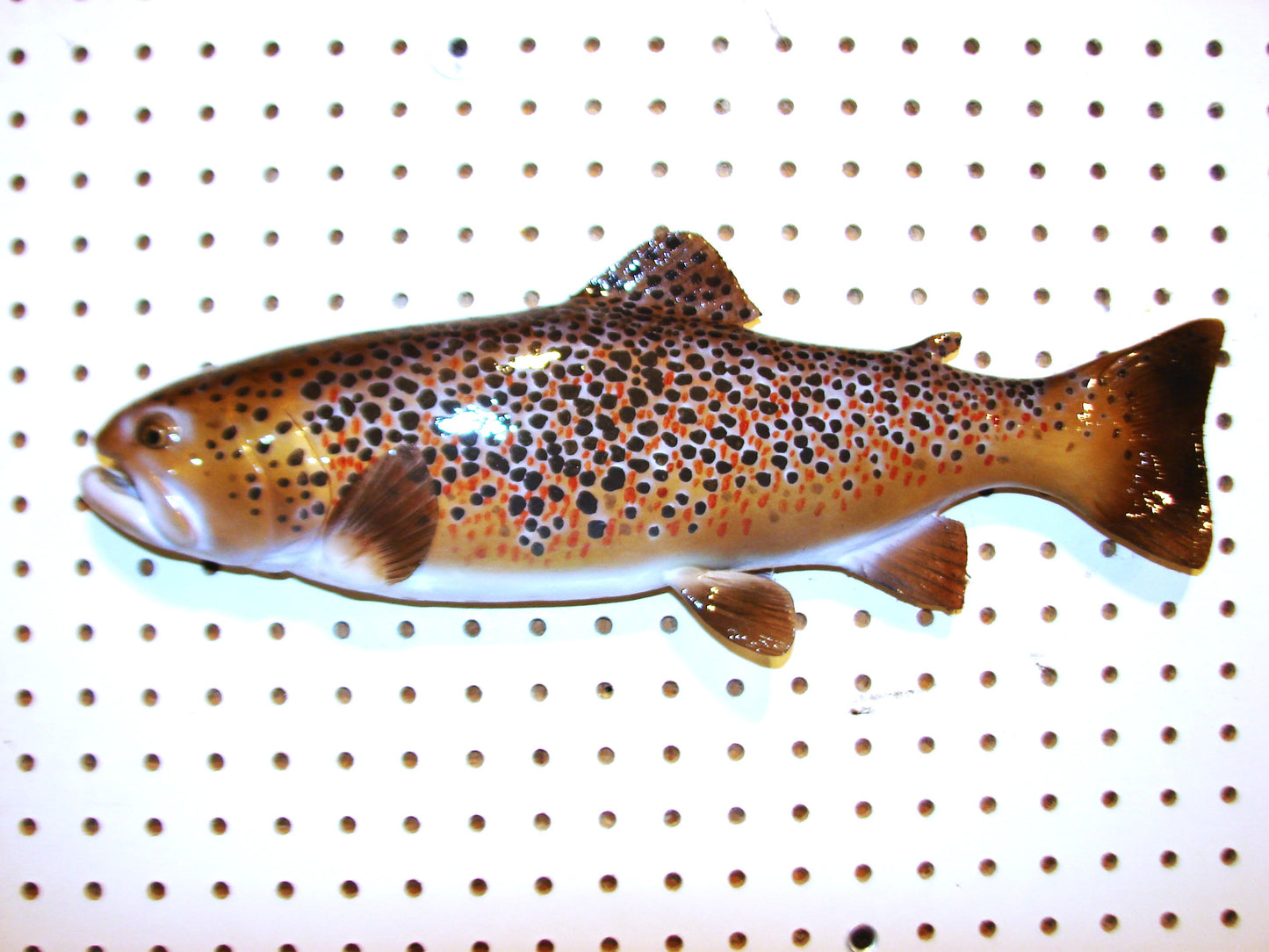 17" Brown Trout FREE SHIPPING