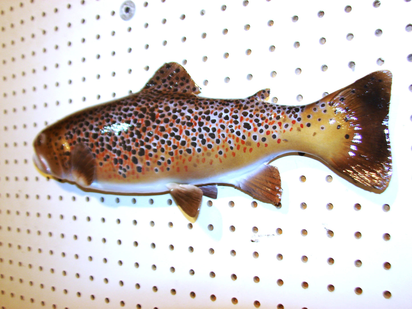 17" Brown Trout FREE SHIPPING