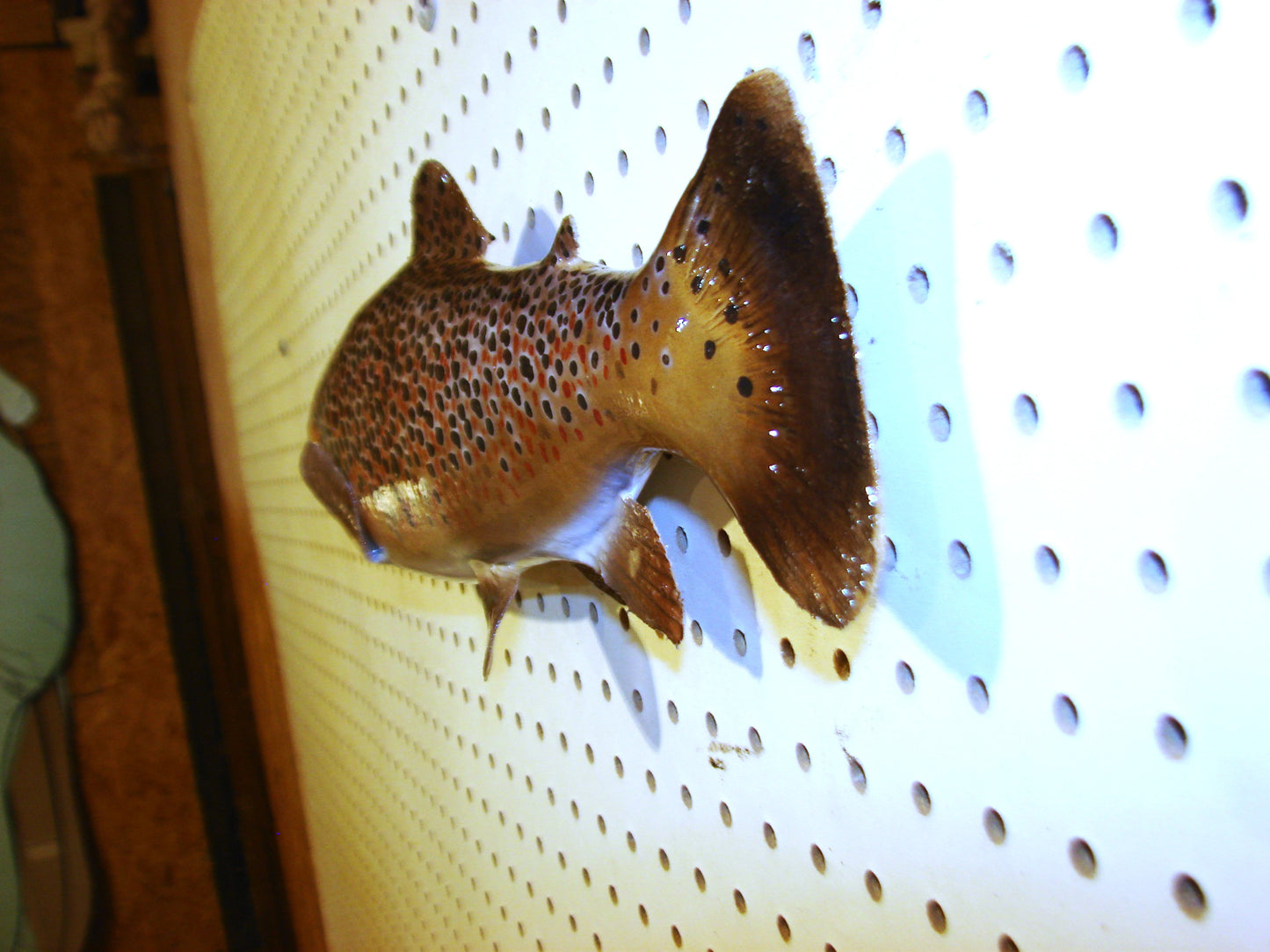 17" Brown Trout FREE SHIPPING