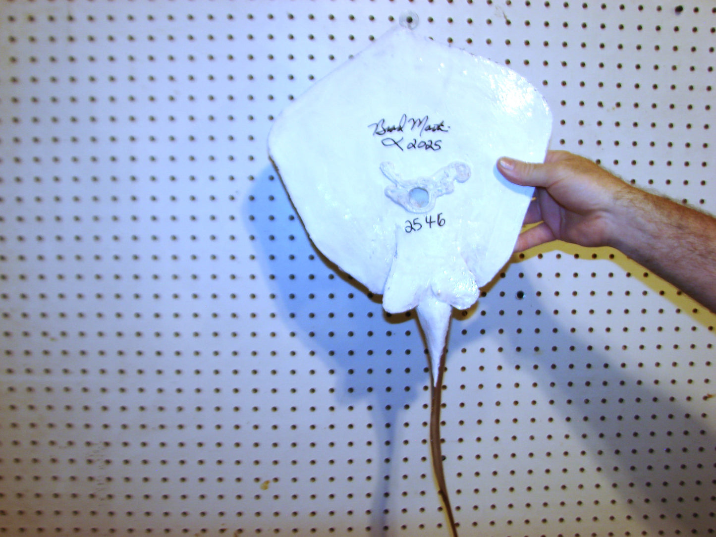 Stingray wall mount FREE SHIPPING