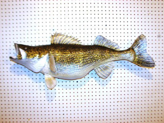34" Walleye Pike FREE SHIPPING