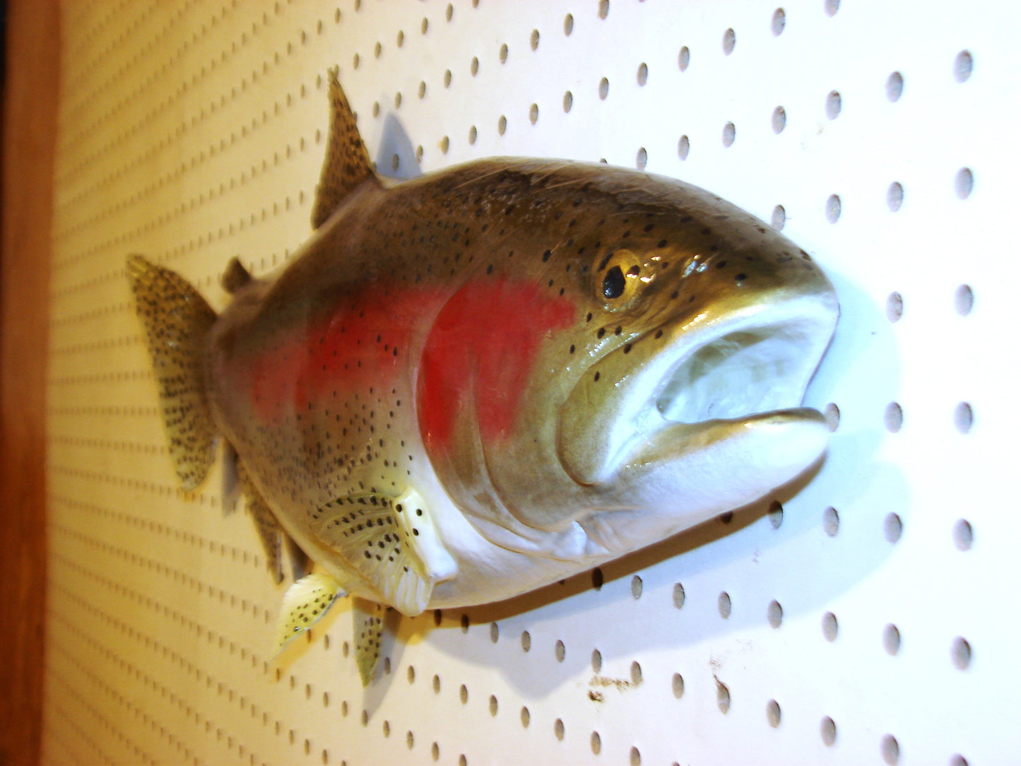 24" Rainbow Trout FREE SHIPPING