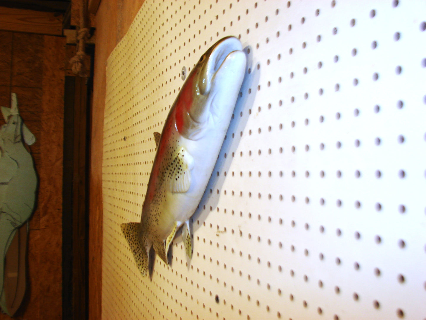 24" Rainbow Trout FREE SHIPPING