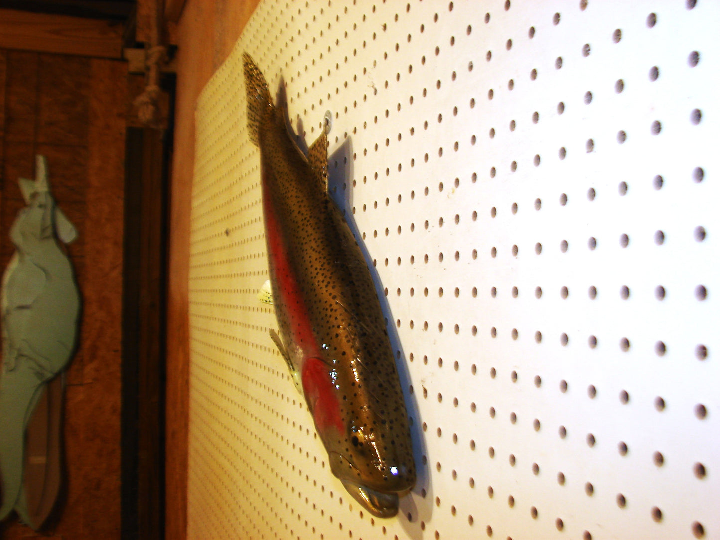 24" Rainbow Trout FREE SHIPPING