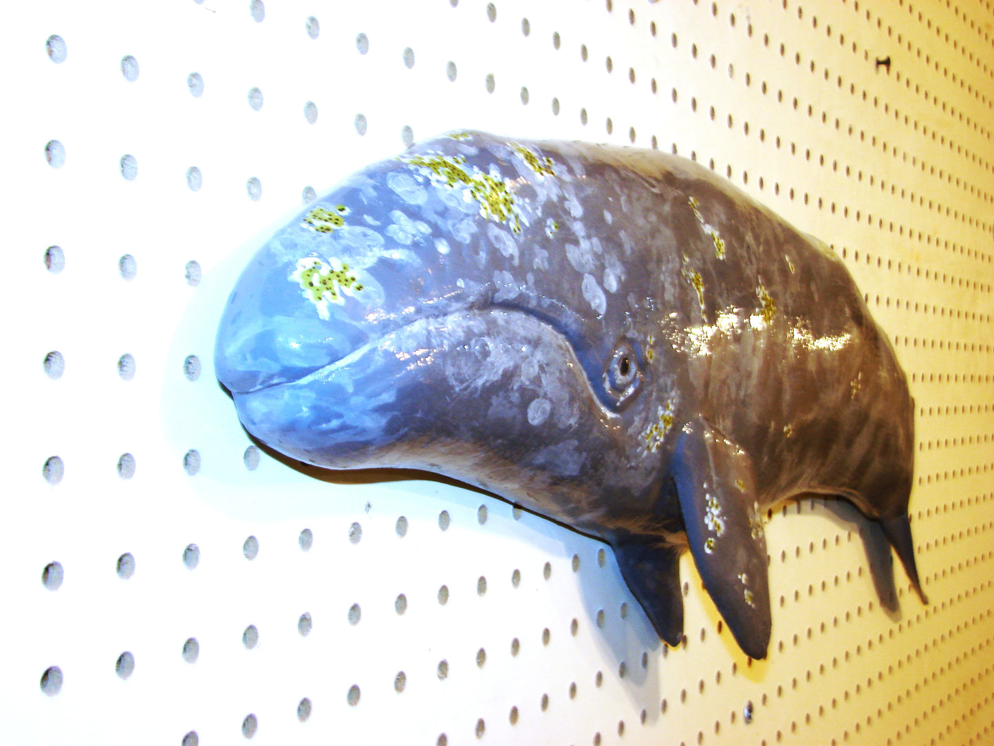 31" Gray Whale FREE SHIPPING