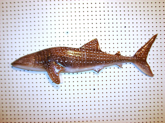 36" Whale Shark FREE SHIPPING