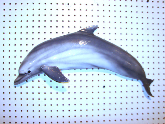 24" Dolphin FREE SHIPPING
