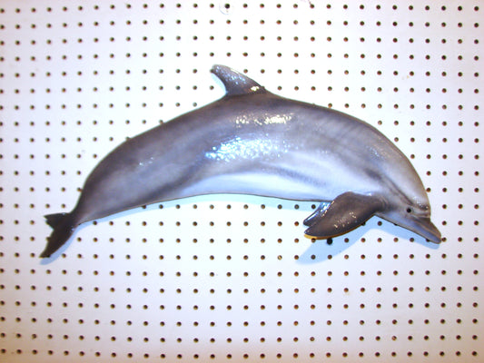 24" Dolphin FREE SHIPPING