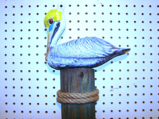 Pelican Wall Art FREE SHIPPING