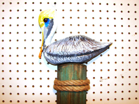 Pelican Wall Art FREE SHIPPING