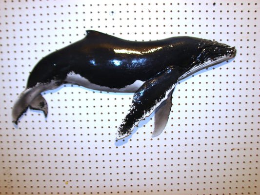 32" Humpback Whale FREE SHIPPING
