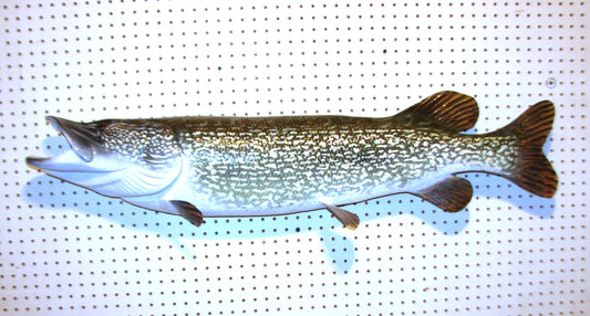 44" Northern Pike FREE SHIPPING