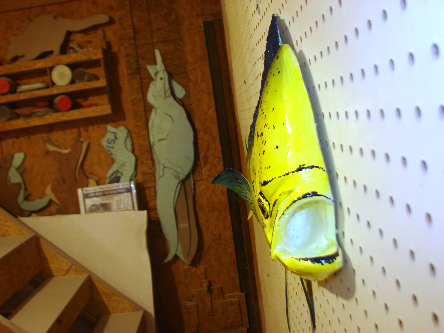 36" Bull Mahi Dorado Dolphin Fish mount  FREE SHIPPING