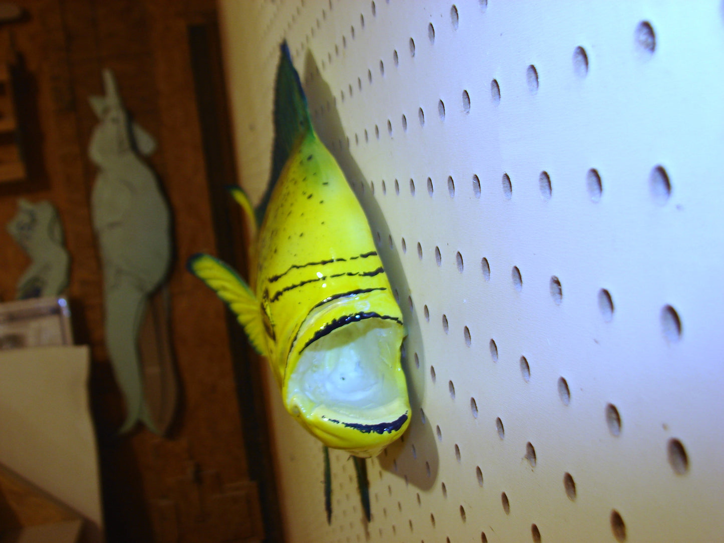 36" Cow Mahi Dorado Dolphin Fish mount  FREE SHIPPING