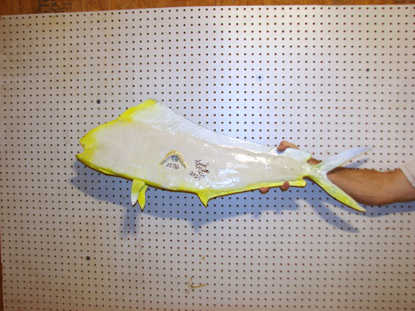 36" Cow Mahi Dorado Dolphin Fish mount  FREE SHIPPING