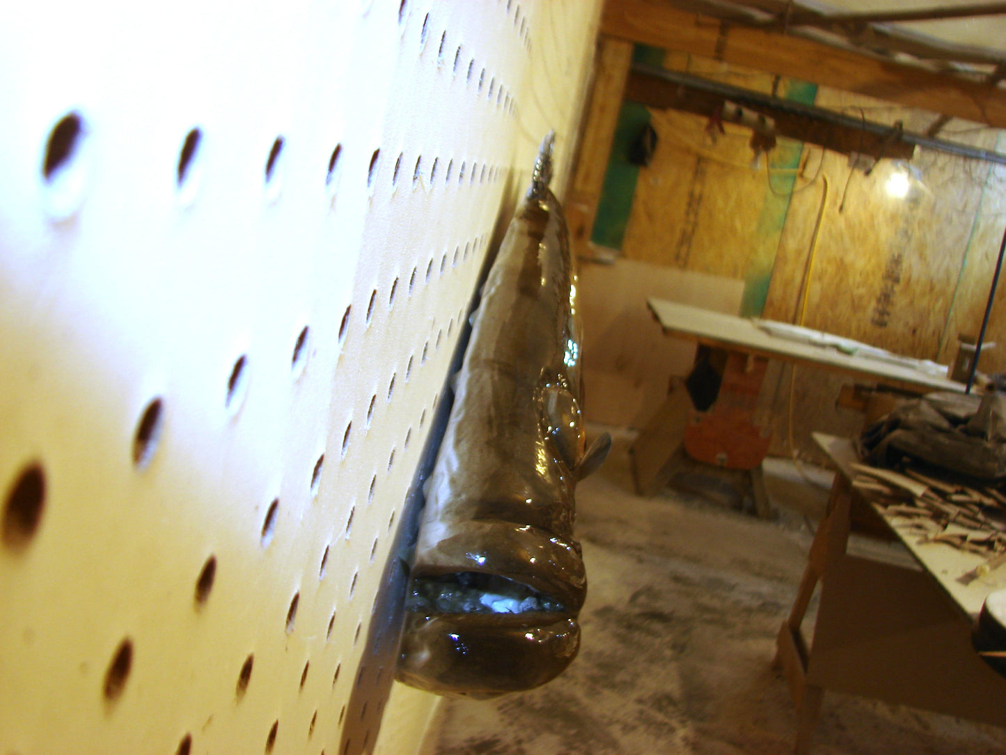 30" Gag Grouper Fish Mount FREE SHIPPING