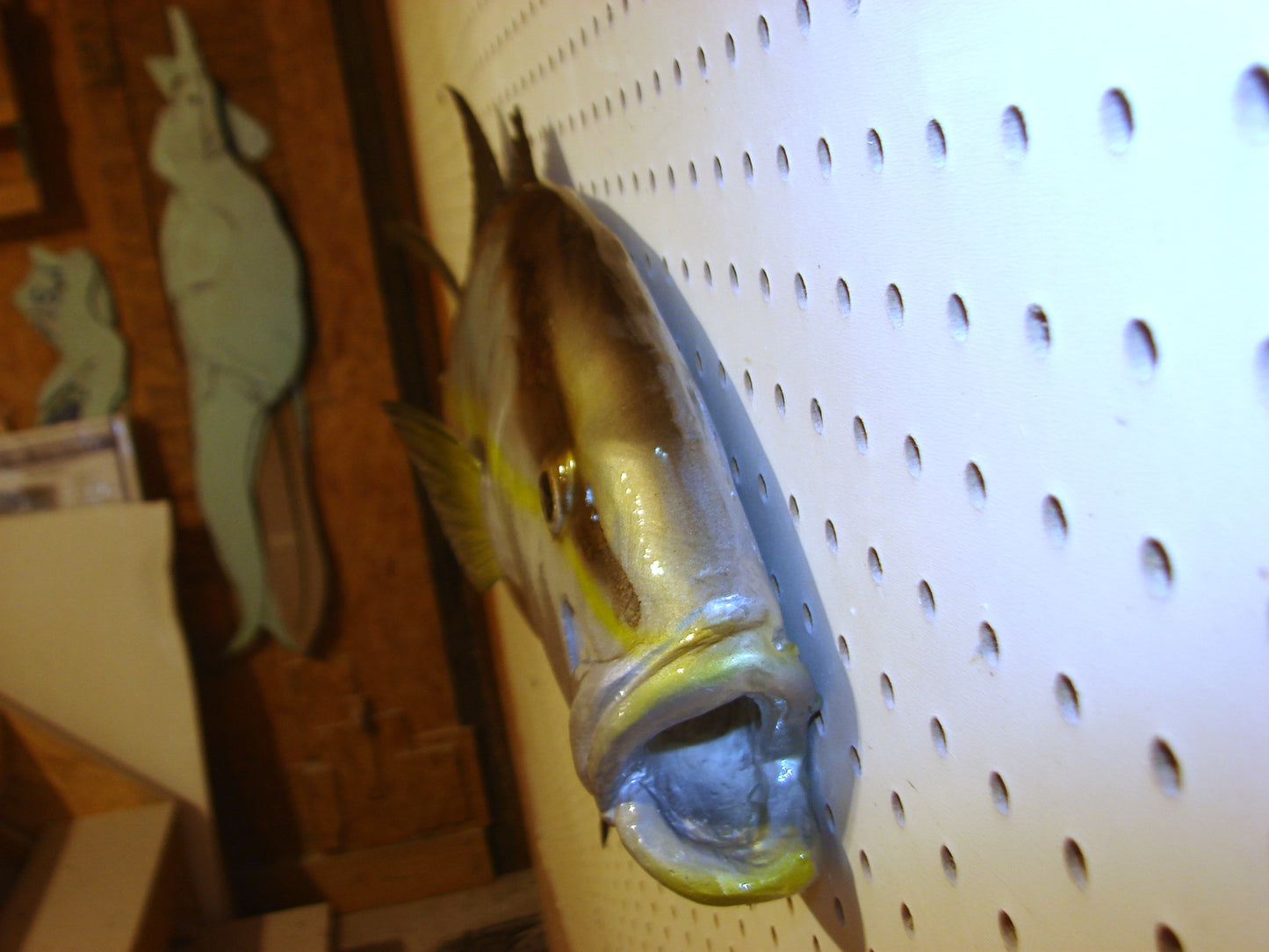 36" Amberjack FREE SHIPPING