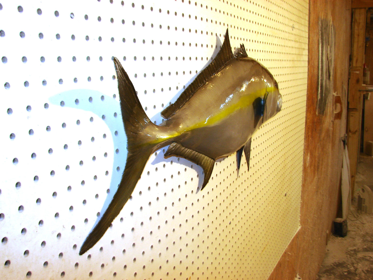 36" Amberjack FREE SHIPPING