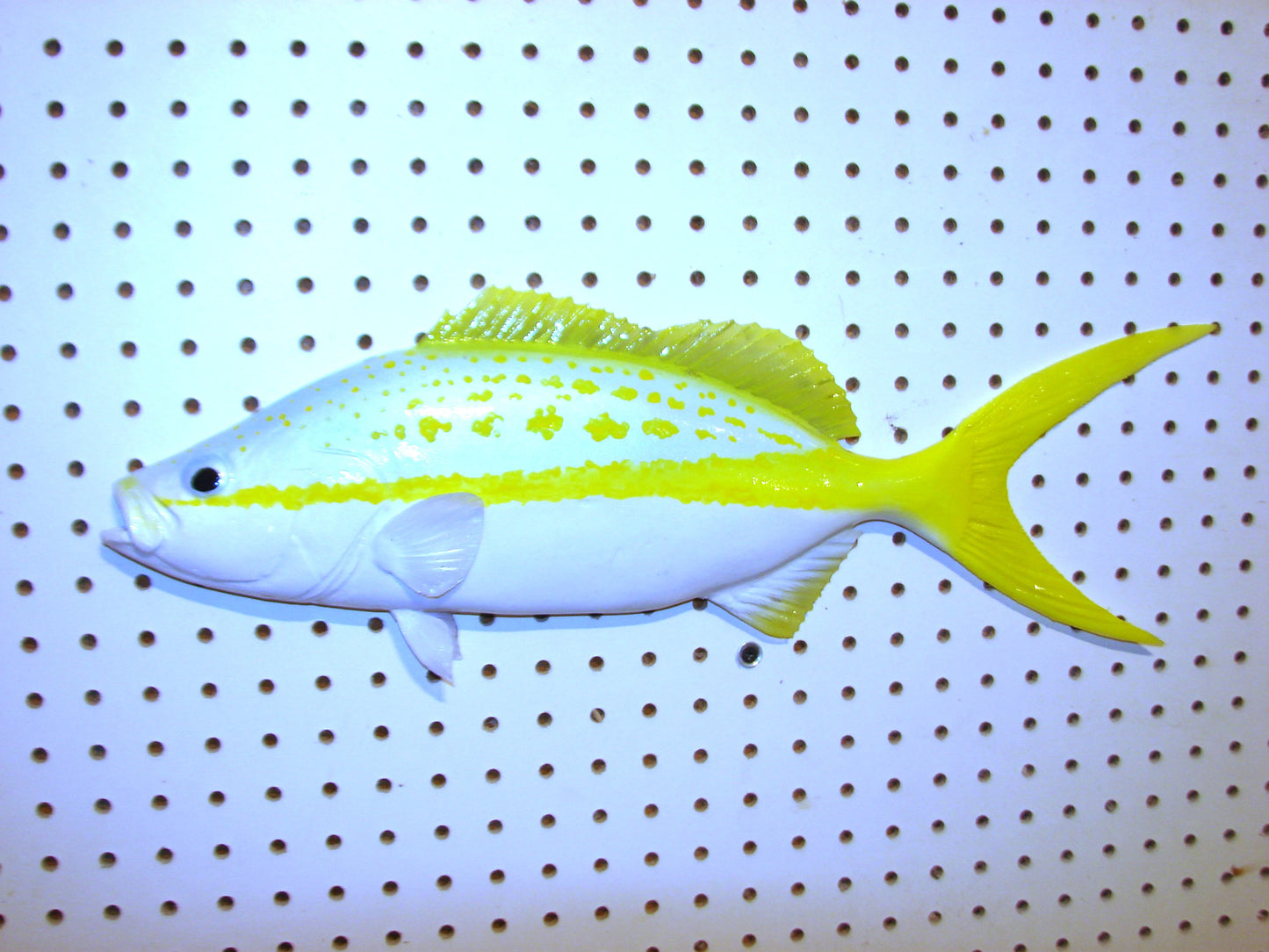 21" Yellowtail Snapper Fish Mount FREE SHIPPING