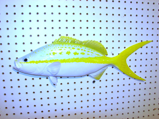 21" Yellowtail Snapper Fish Mount FREE SHIPPING