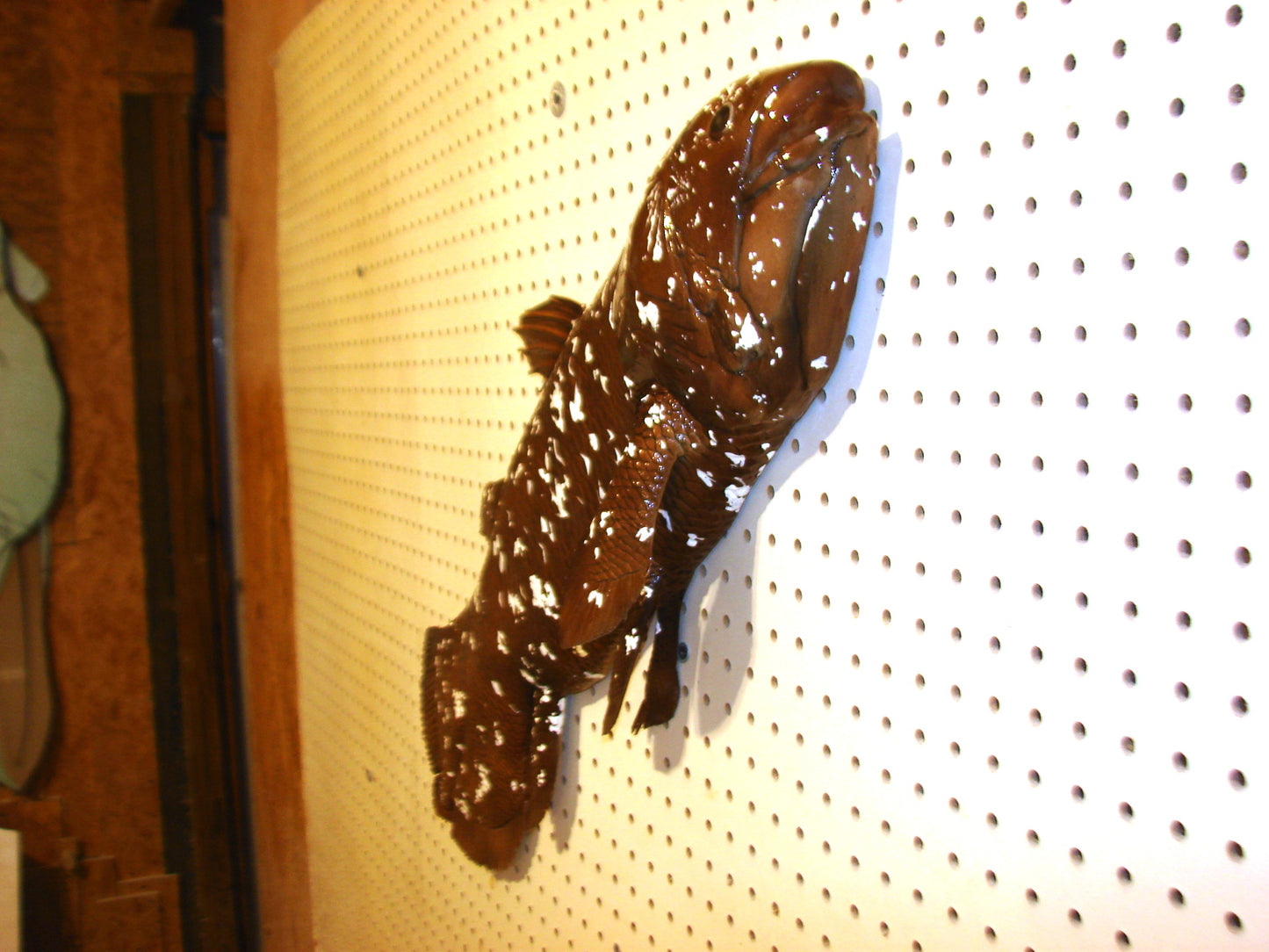 Coelacanth Fish Mount FREE SHIPPING