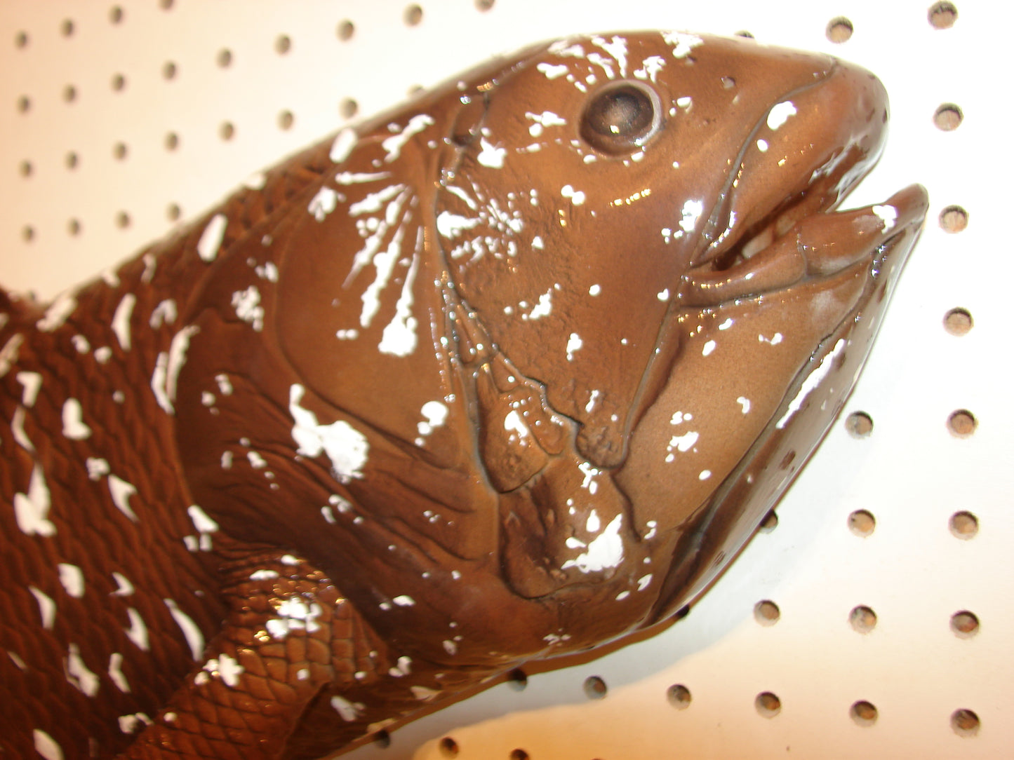 Coelacanth Fish Mount FREE SHIPPING