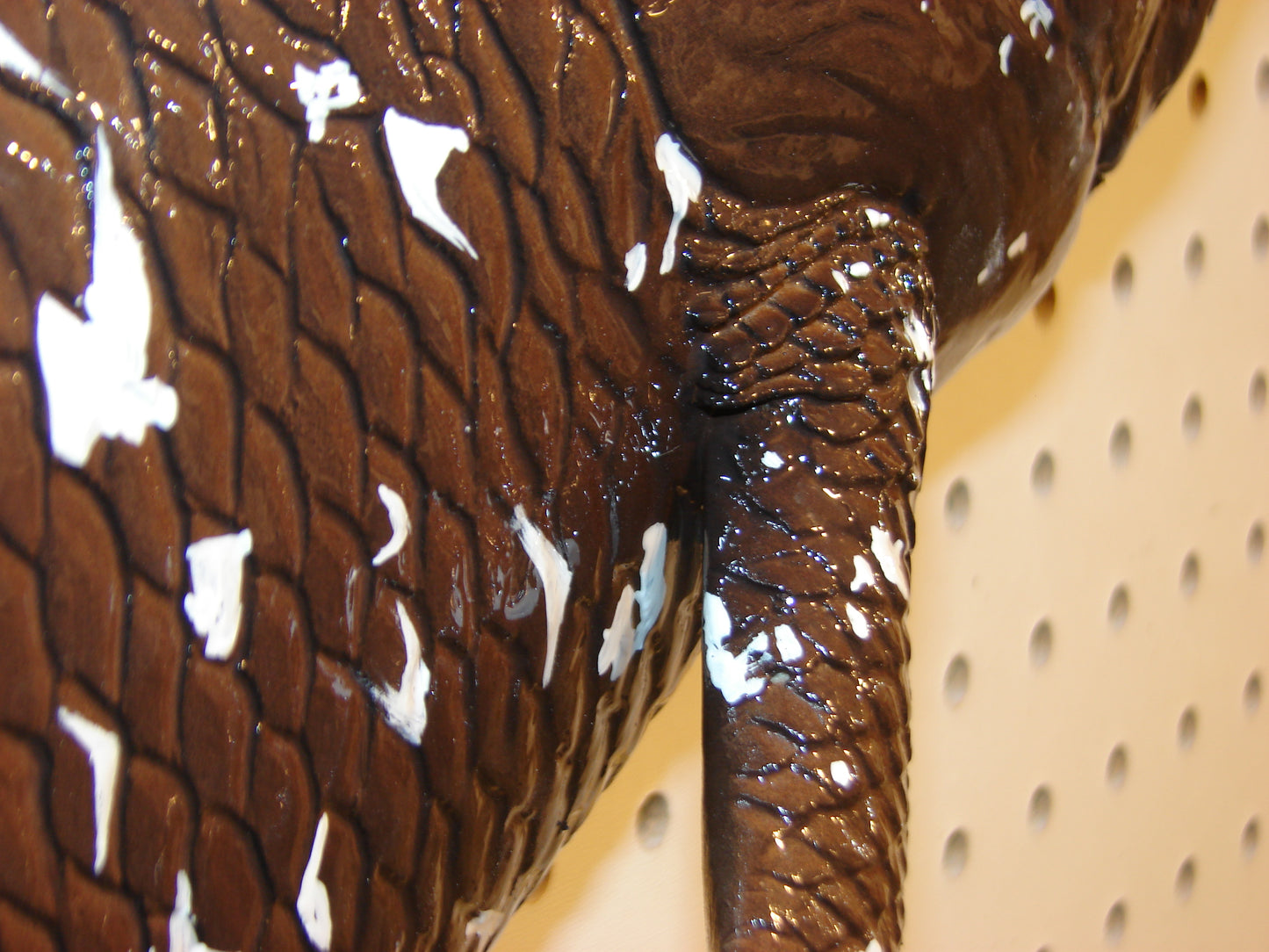 Coelacanth Fish Mount FREE SHIPPING