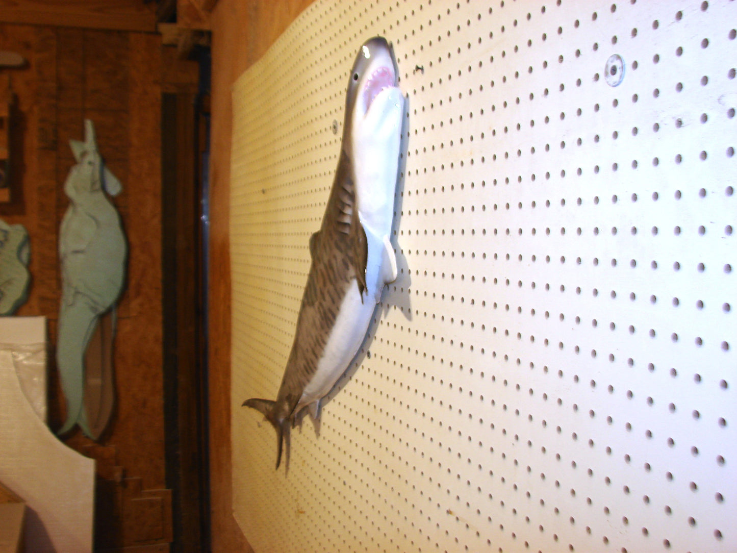 Tiger Shark Fish Mount FREE SHIPPING