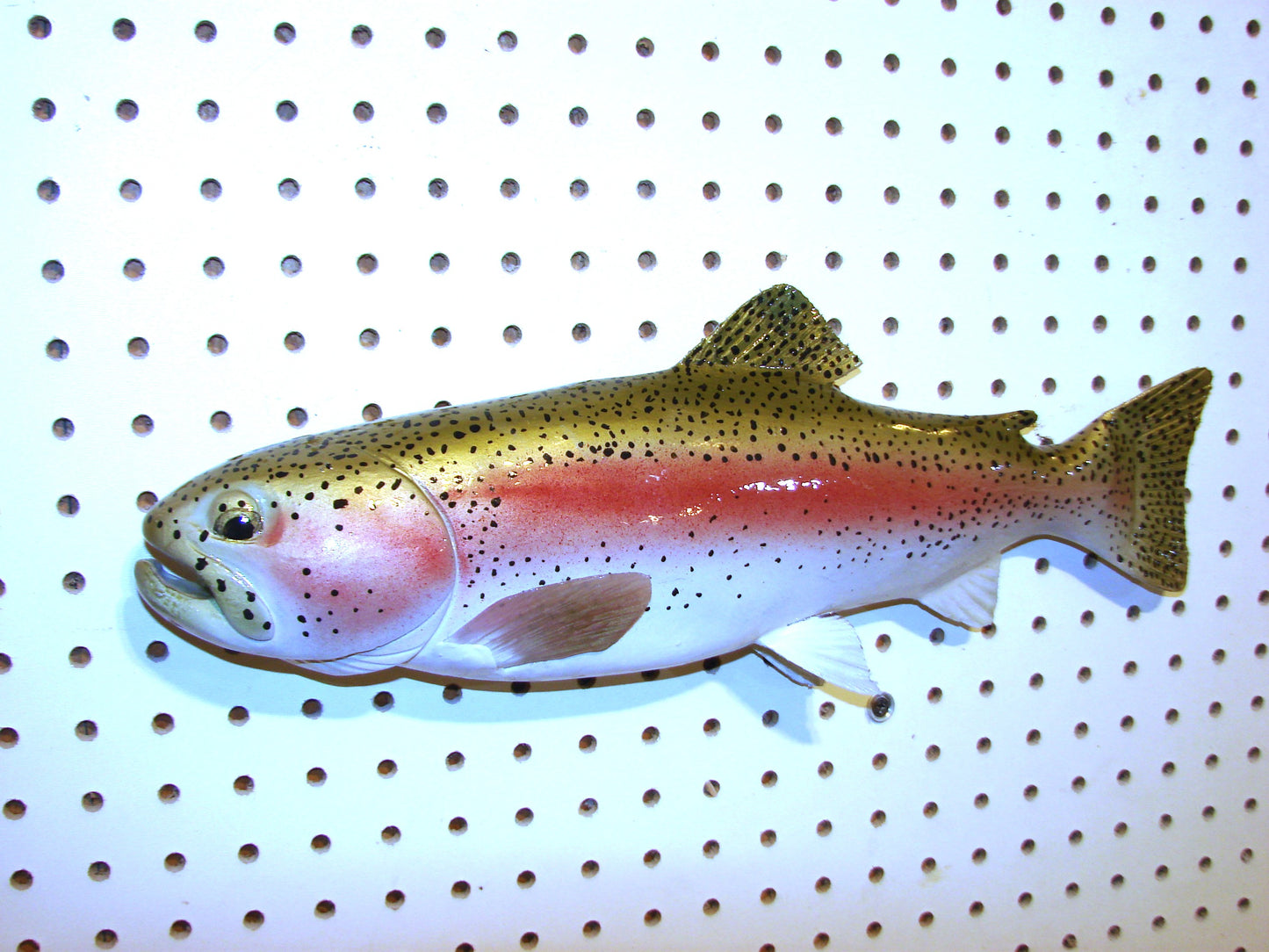 17" Rainbow Trout FREE SHIPPING