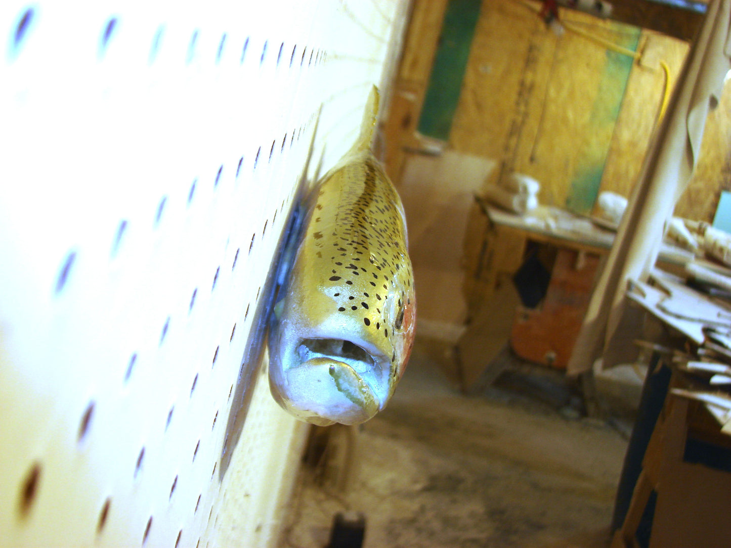 17" Rainbow Trout FREE SHIPPING