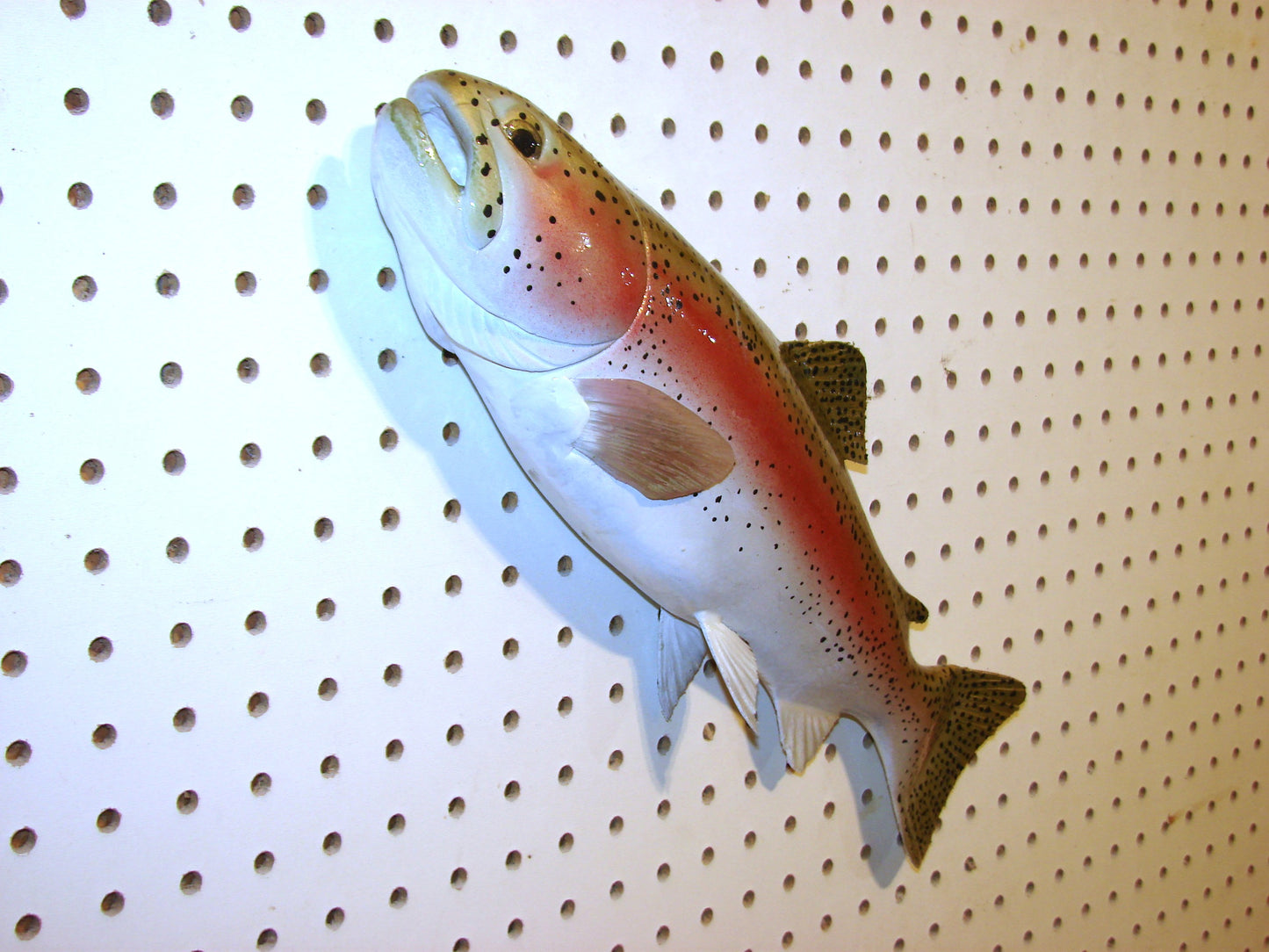 17" Rainbow Trout FREE SHIPPING