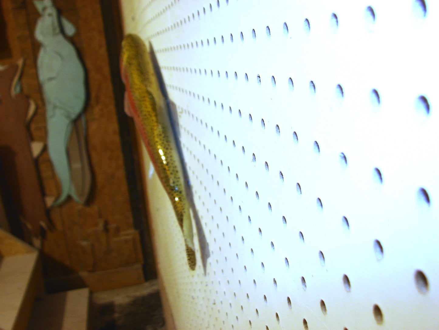 17" Rainbow Trout FREE SHIPPING