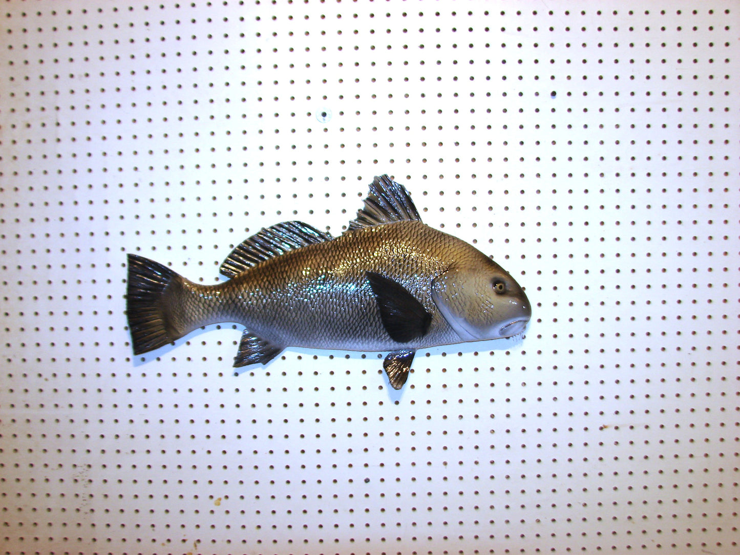 25" Black Drum FREE SHIPPING