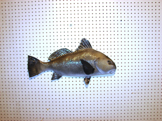 25" Black Drum FREE SHIPPING