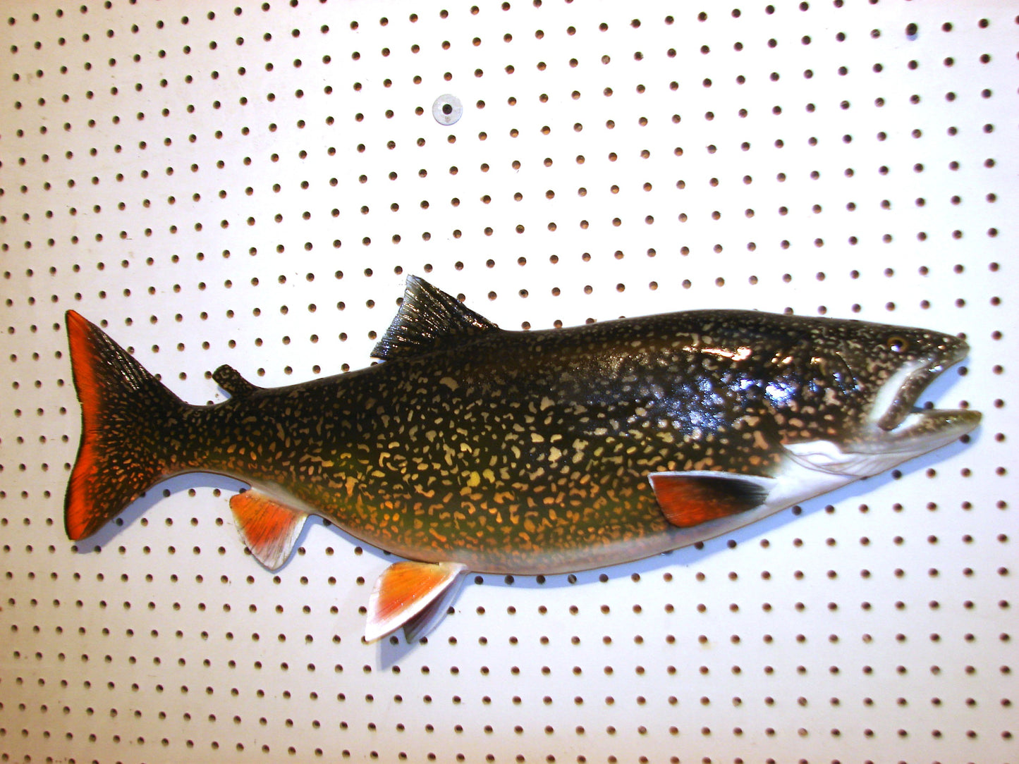 30" Lake Trout FREE SHIPPING