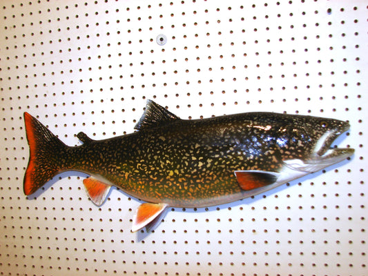 30" Lake Trout FREE SHIPPING