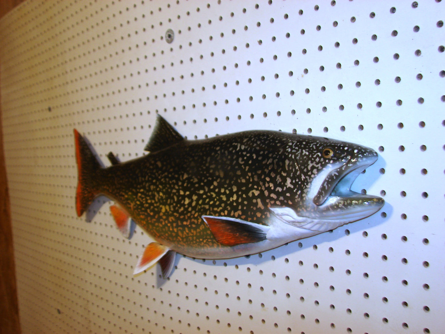 30" Lake Trout FREE SHIPPING